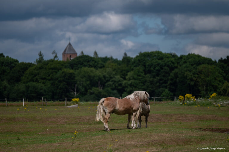 zicht op kerk